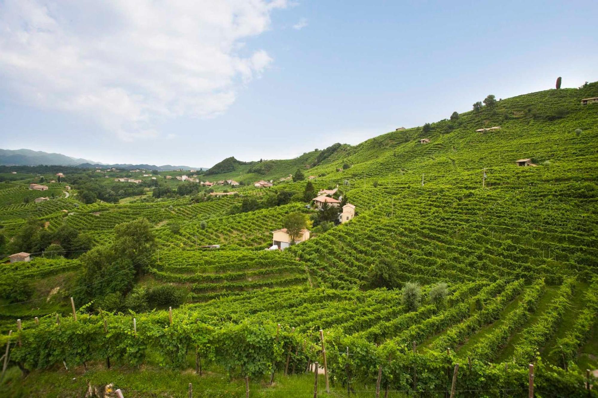 Antica Rinaldo Apartment Valdobbiadene Luaran gambar